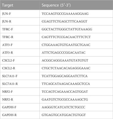 Characterization and role exploration of ferroptosis-related genes in osteoarthritis